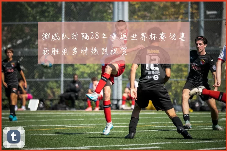 挪威队时隔28年重返世界杯赛场喜获胜利多特热烈祝贺