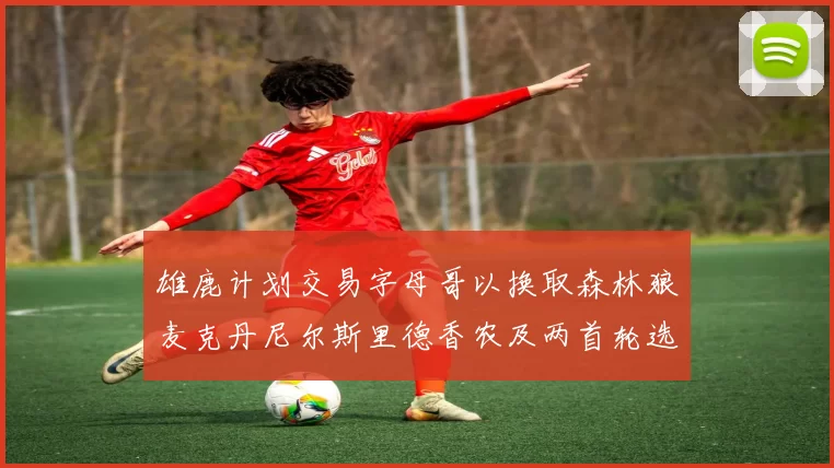 雄鹿计划交易字母哥以换取森林狼麦克丹尼尔斯里德香农及两首轮选秀权